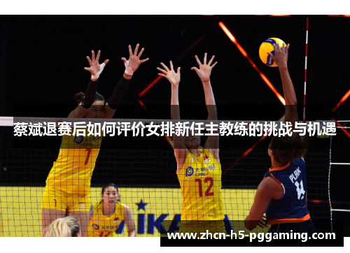 蔡斌退赛后如何评价女排新任主教练的挑战与机遇