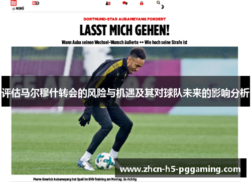 评估马尔穆什转会的风险与机遇及其对球队未来的影响分析 评估马尔穆什转会的风险与机遇及其对球队未来的影响分析