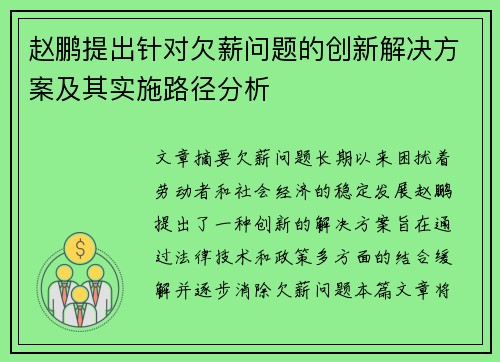 赵鹏提出针对欠薪问题的创新解决方案及其实施路径分析