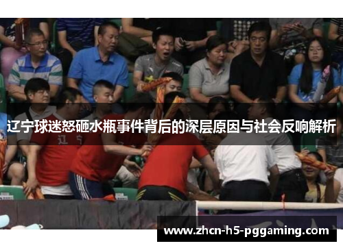 辽宁球迷怒砸水瓶事件背后的深层原因与社会反响解析