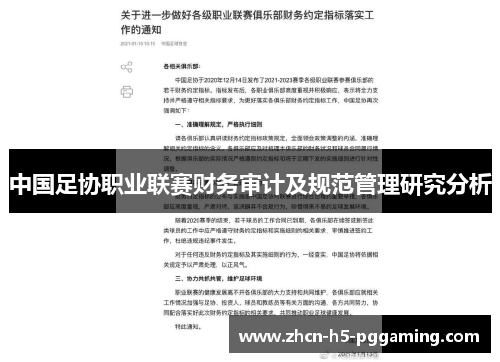 中国足协职业联赛财务审计及规范管理研究分析