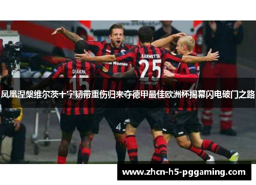 凤凰涅槃维尔茨十字韧带重伤归来夺德甲最佳欧洲杯揭幕闪电破门之路